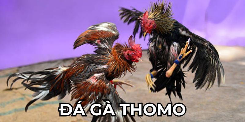 da-ga-thomo